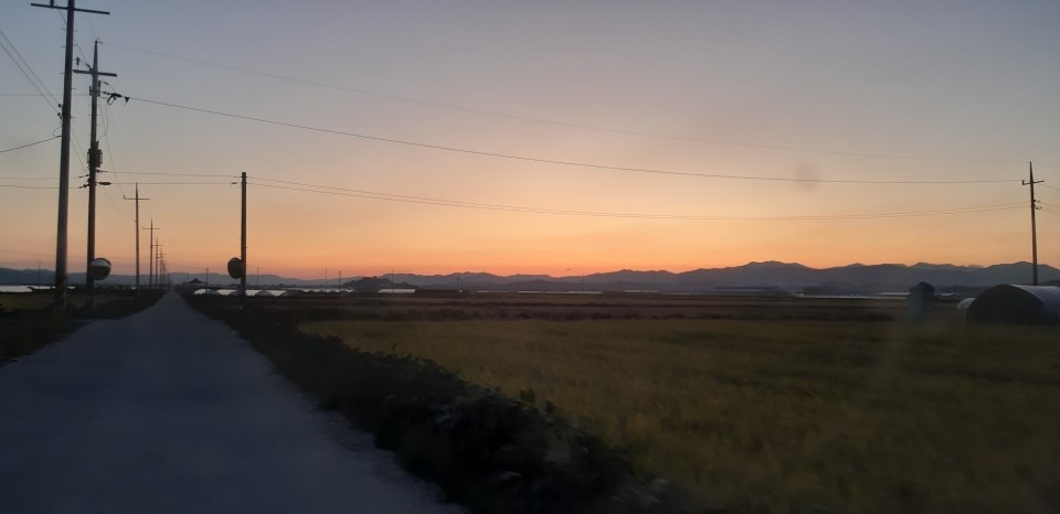 농업회사법인(주)더드림 이미지