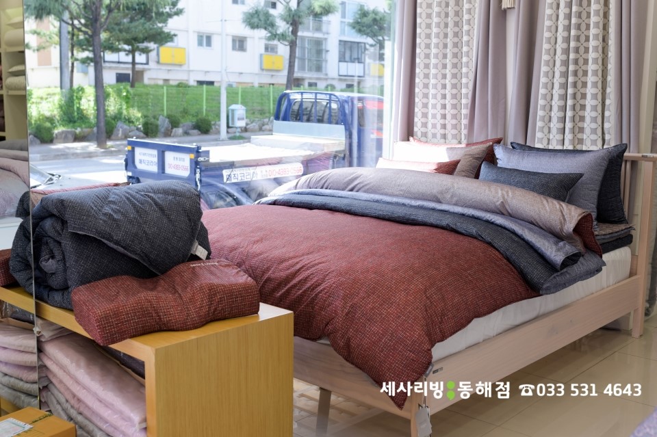 세사리빙강릉 이미지