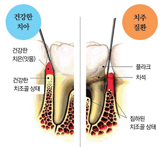 연세하늘치과 이미지