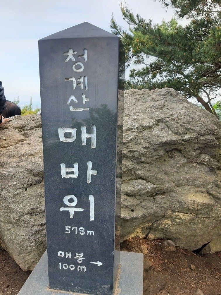 소담채 이미지