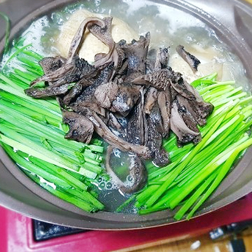 네이버 카페 글모음(7.9) | 네이트 판