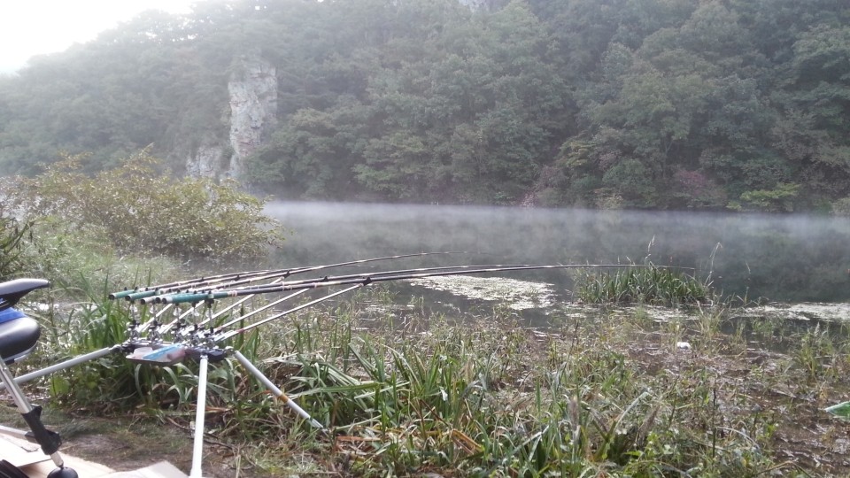 20181002_070006.jpg