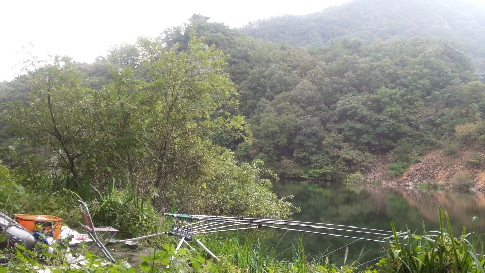 20180922_091659.jpg