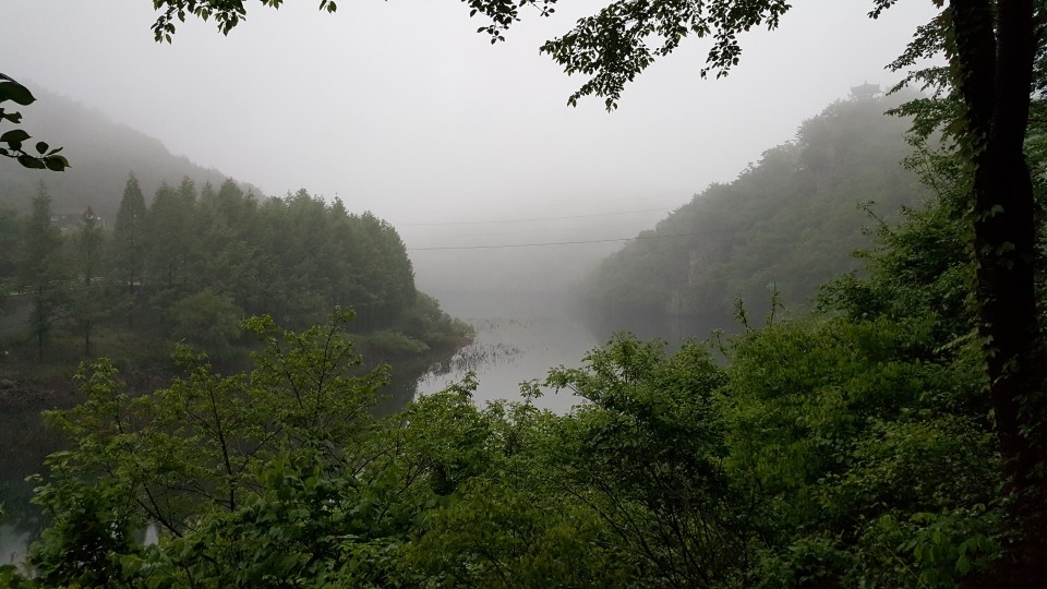 20200516_054709_%282%29.jpg