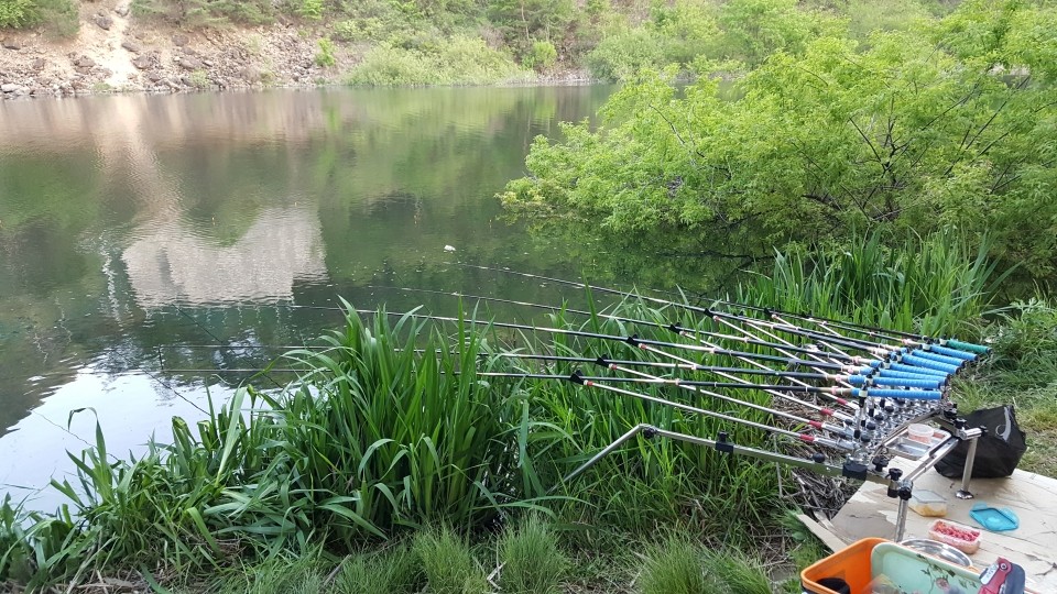 20200501_185204.jpg