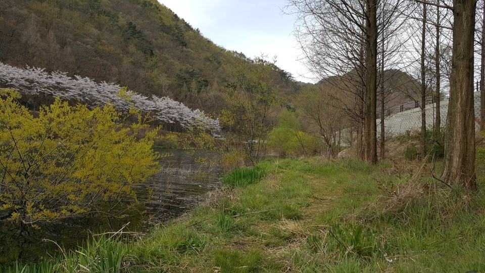 20200413_083014.jpg