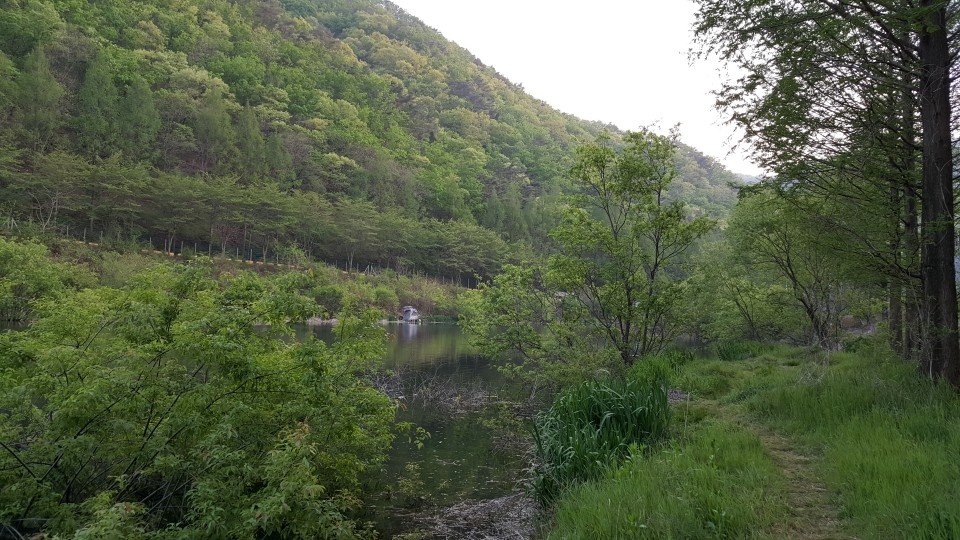 20200501_185130.jpg