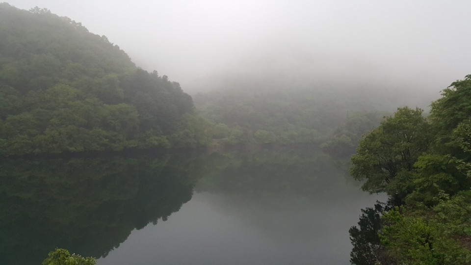 20200516_054115_%281%29.jpg