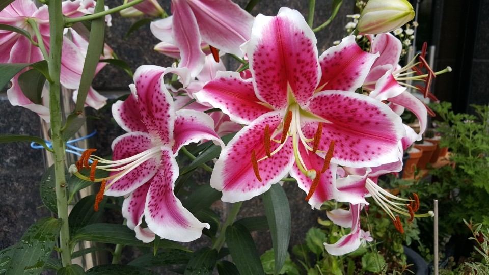 20200708_074845.jpg