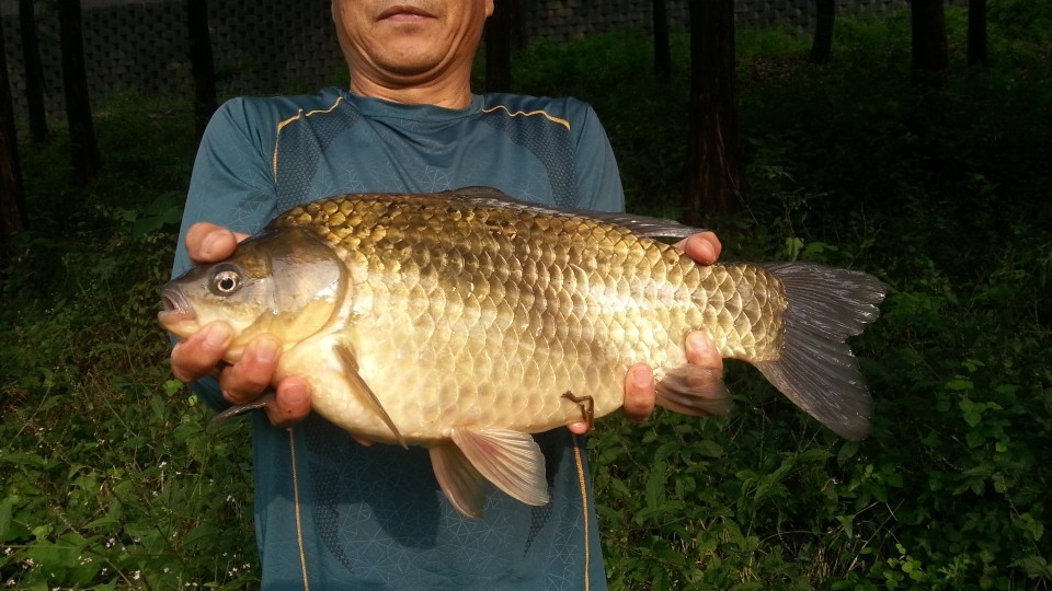 20180922_082351.jpg
