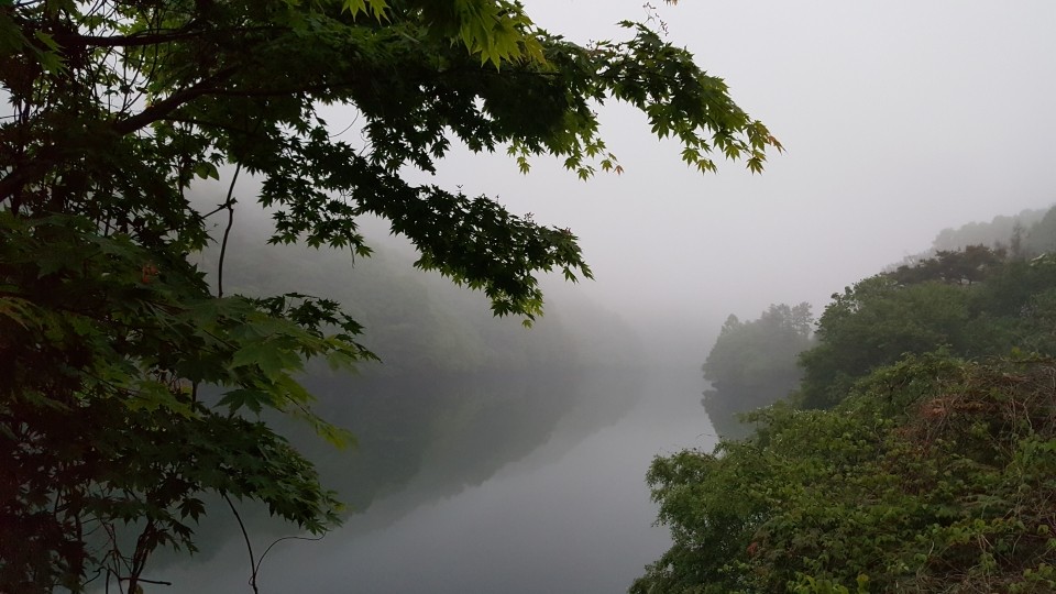 20200516_053911_%281%29.jpg