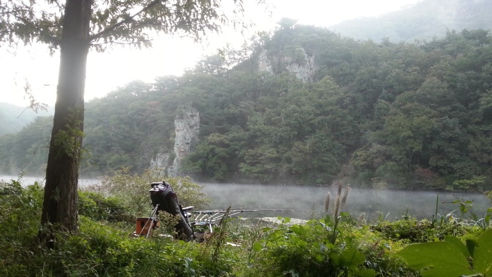 20181002_070039.jpg