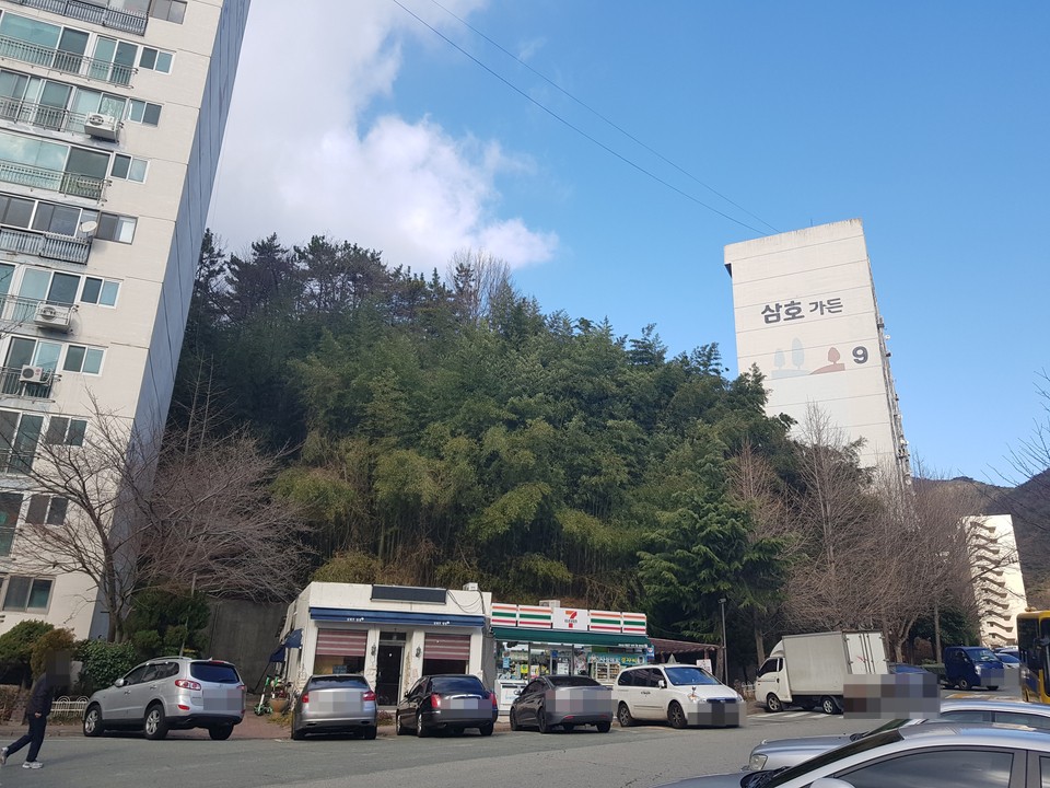 김혜주양갱 이미지