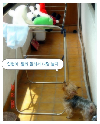 한비 이미지