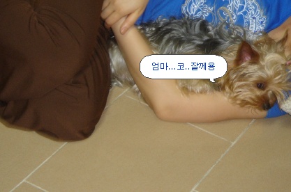 한비 이미지