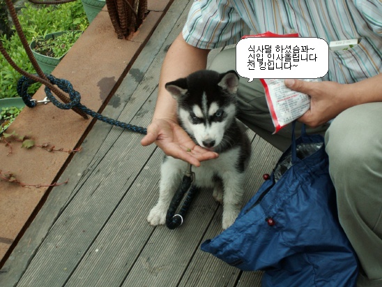 화랑장 이미지