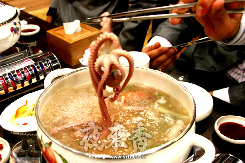 낙지천국 이미지