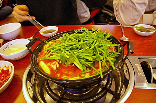 동촌샤브칼국수 이미지