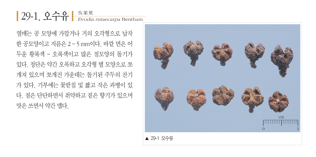 미소담한의원 이미지