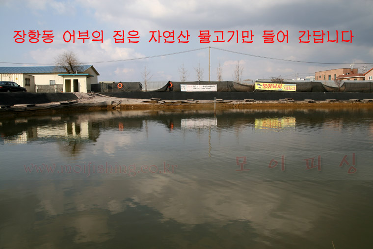 자연산어부집 이미지