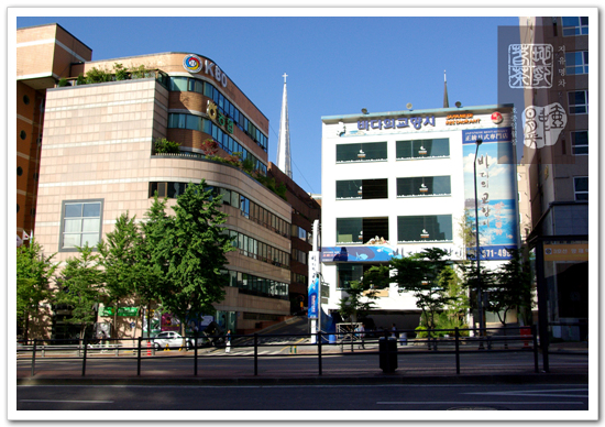 지유명차강남 이미지