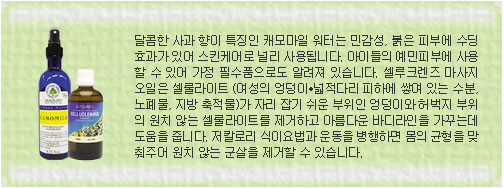 부미즈 이미지