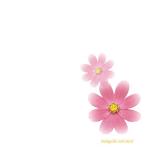 하얀마음 이미지