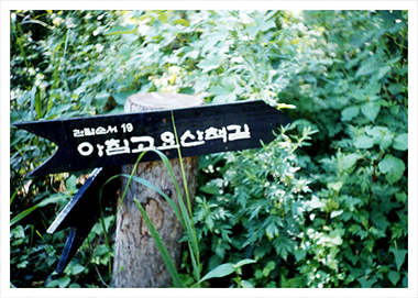 수목원꽃식물원 이미지