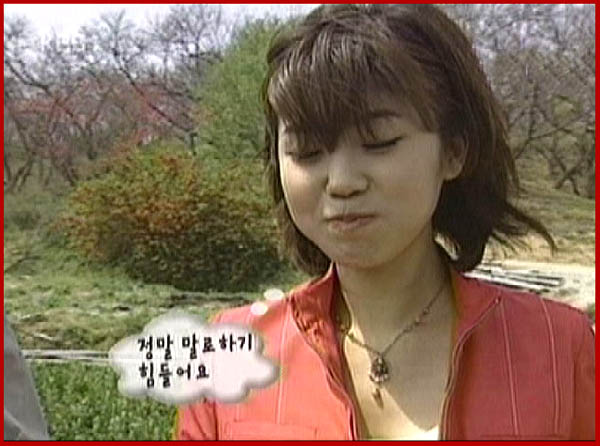 싱싱 이미지