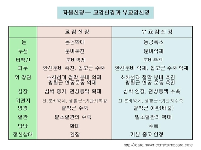 강남심리상담컨설팅 이미지