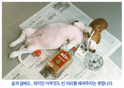 나도 이미지