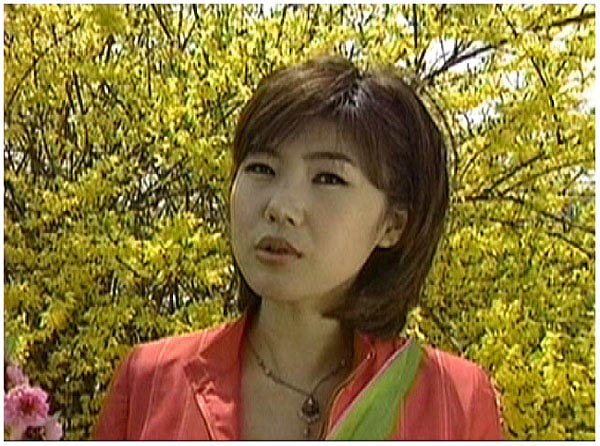 싱싱 이미지