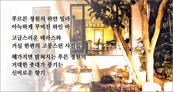 카페꼬레 이미지