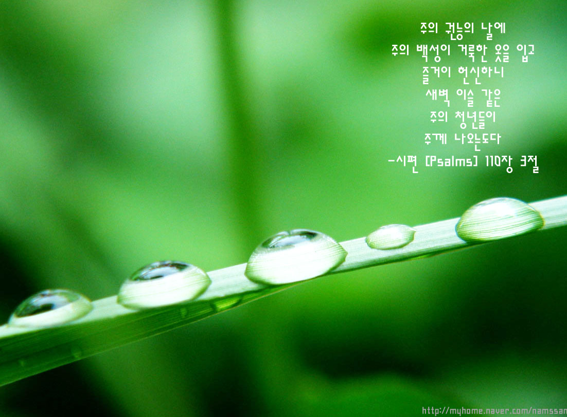 (주)새벽바다 이미지