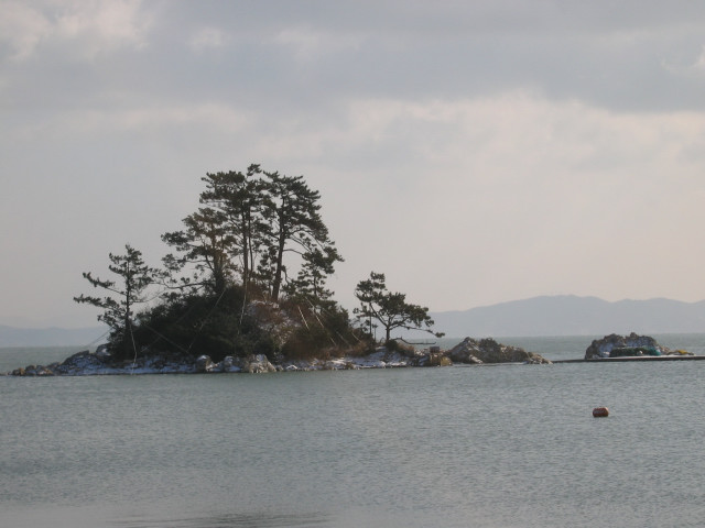 cafe 정남진 이미지