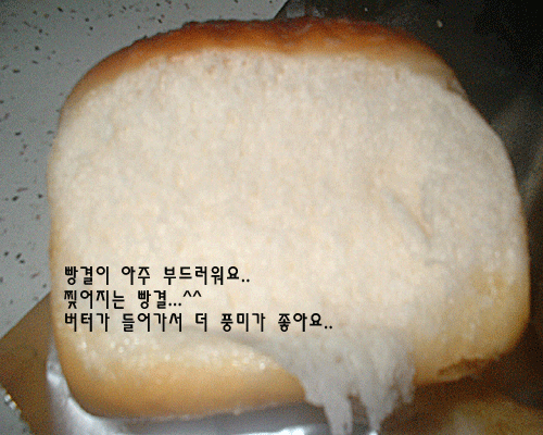 하이토스트 이미지